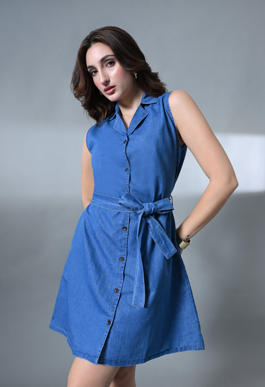 Denim Crush A-Line Dress